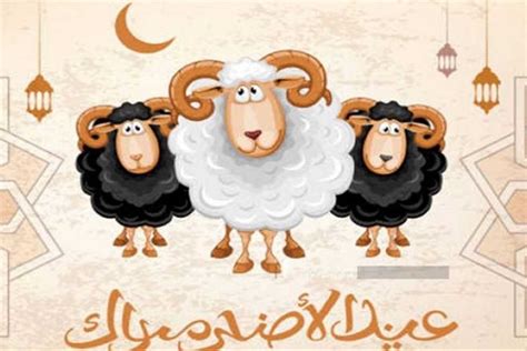 تاريخ عيد الأضحى 2024.. تعرف على إجازات العيد وموعد وقفة عرفة