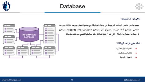 تتكون قاعدة البيانات من جدول واحد أو أكثر - الحل - اتجاهات 2024