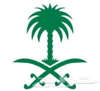 تجديد ونقل ملكية أستمارات بدون فحص - حراج
