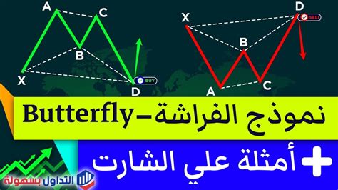 تحليل كلمة الفراشة في المقاطع والحروف - الاتجاه