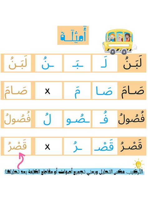 تحليل كلمة الفراشة في المقاطع والحروف - موقع القلعة