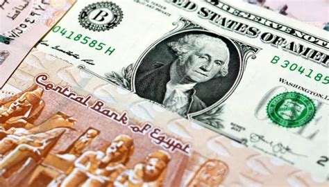 تحويل من الدولار الأمريكي إلى الجنيه المصري - مملكة الويب