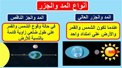 ترتيب منطقة المد والجزر من أعلى إلى أسفل - الحلول ترتيب منطقة المد والجزر من أعلى إلى أسفل - الحلول