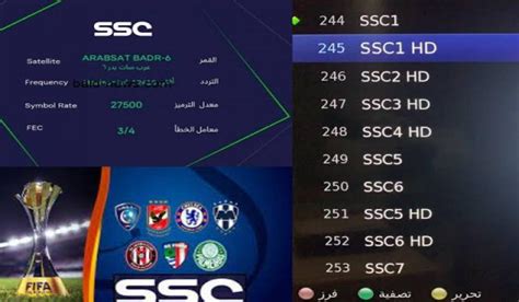 تردد قنوات ssc الجديد 2024 على النايل سات الناقل الدوري السعودي تردد قنوات ssc الجديد 2024 على النايل سات الناقل الدوري السعودي