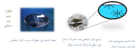 تسمى القوى غير المتوازنة التي تعمل على جسيمات سطح السائل بالمنصة العلمية