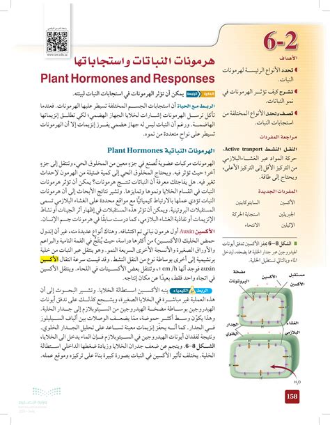 تسمى الهرمونات النباتية المسؤولة عن استطالة الخلايا النباتية بالهرمونات