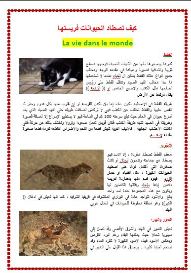 تصطاد Paramecium فريستها وتدافع عن نفسها باستخدام الهياكل التي يقال إنها فريدة من نوعها
