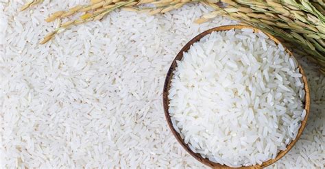 تعرف على تفسير حلم الموتى بطلب الأرز لابن سيرين - صدى مدونة الأمة تعرف على تفسير حلم الموتى بطلب الأرز لابن سيرين - صدى مدونة الأمة