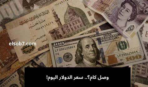 تعرف على سعر الدولار اليوم الخميس 7-7-2024 في مصر