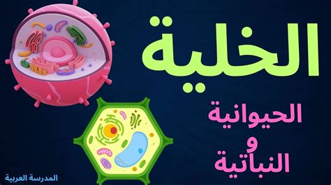 تعريف الخلية للإجابة الصحيحة - حلالا