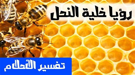تفسير الأحلام لابن سيرين - أن يرى في المنام أن الميت يشكو من معدته - أجب