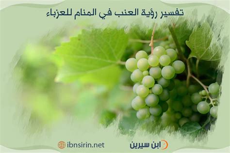 تفسير الاتجاه الغربي في المنام - الرؤية تفسير الاتجاه الغربي في المنام - الرؤية