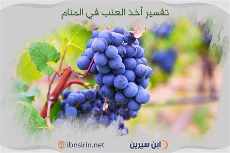 تفسير الجوانب الأربعة في الحلم - الرؤية تفسير الجوانب الأربعة في الحلم - الرؤية
