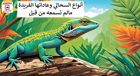 تفسير الخوف من السحالي والسيطرة عليه تفسير الخوف من السحالي والسيطرة عليه