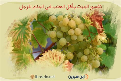 تفسير الميت يسأل عن العنب واللبن والعسل في المنام تفسير الميت يسأل عن العنب واللبن والعسل في المنام