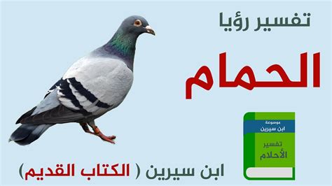 تفسير حلم ابن سيرين بدخول الموتى الحمام في المنام وجهة نظري