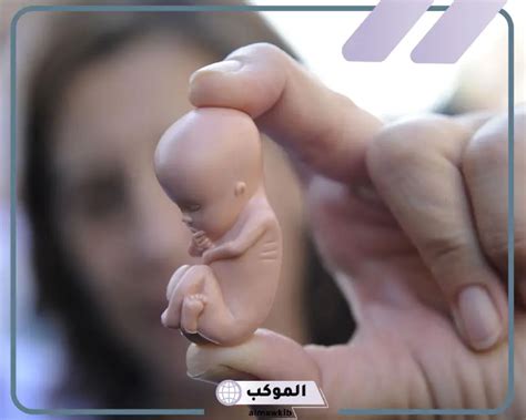 تفسير حلم ابن سيرين عن لمس الجنين في المنام - موقع الحلم تفسير حلم ابن سيرين عن لمس الجنين في المنام - موقع الحلم