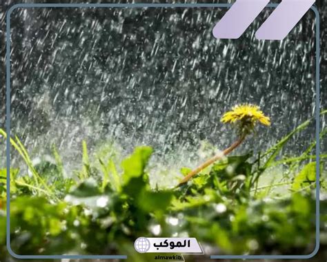 تفسير حلم الاستغفار في المطر في المنام