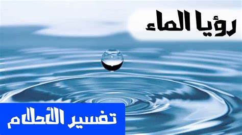 تفسير حلم الخبز في الماء لابن سيرين في المنام - موسوعة المخرج تفسير حلم الخبز في الماء لابن سيرين في المنام - موسوعة المخرج