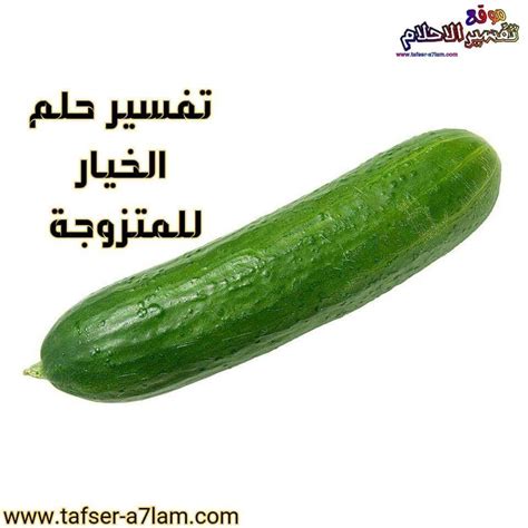 تفسير حلم الخيار لابن سيرين والمترجمين الكبار تفسير حلم الخيار لابن سيرين والمترجمين الكبار
