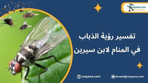 تفسير حلم الذباب في المنام لامرأة متزوجة ورجل تفسير حلم الذباب في المنام لامرأة متزوجة ورجل