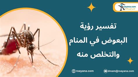 تفسير حلم الضجة والتخلص منها - كوتون كير