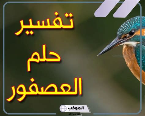 تفسير حلم العصفور للحامل - موقع زيادة
