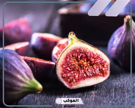تفسير حلم الغناء في المنام للمرأة العازبة - الكفاح العربي سبورت تفسير حلم الغناء في المنام للمرأة العازبة - الكفاح العربي سبورت