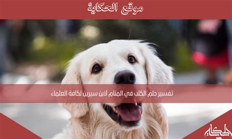 تفسير حلم الكلب لابن سيرين - مجلة رجيم