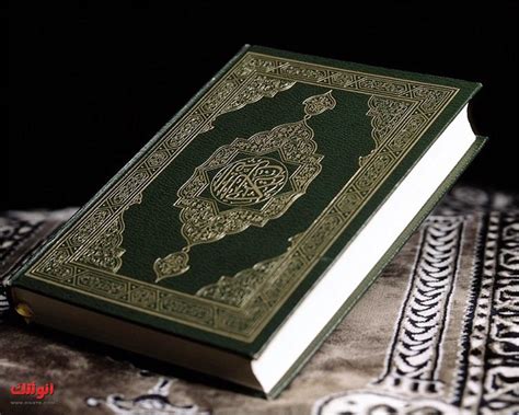 تفسير حلم بالقرآن هدية في المنام - موقع الرهيب تفسير حلم بالقرآن هدية في المنام - موقع الرهيب