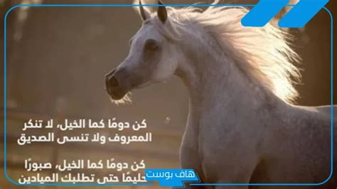 تفسير حلم بفتحة واسعة في المنام لابن سيرين - جلف بوست