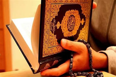 تفسير حلم حمل المصحف باليد للعزباء لون وردي تفسير حلم حمل المصحف باليد للعزباء لون وردي