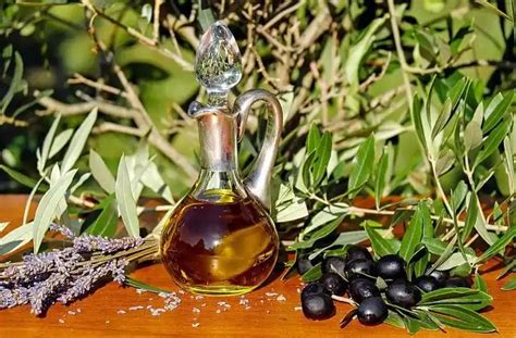 تفسير حلم دهن الموتى بزيت الزيتون.