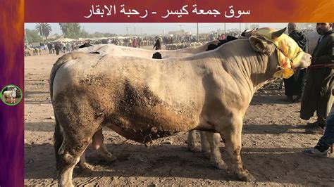 تفسير حلم ذبح مجهول في المنام - موقع الرهيب