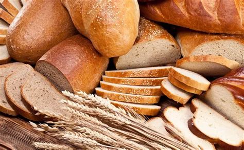 تفسير حلم رؤية الخبز الرطب في المنام لابن سيرين - موسوعة المخرج تفسير حلم رؤية الخبز الرطب في المنام لابن سيرين - موسوعة المخرج