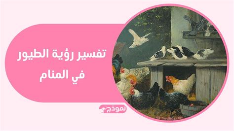 تفسير حلم رؤية الطيور في المنام للنساء العازبات والمتزوجات والحوامل مع ابن سيرين تفسير حلم رؤية الطيور في المنام للنساء العازبات والمتزوجات والحوامل مع ابن سيرين