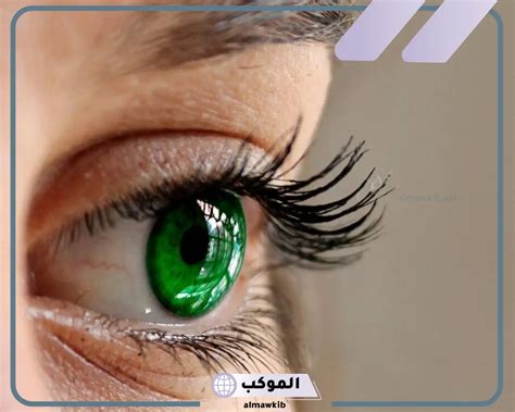 تفسير حلم رؤية العيون الخضراء في المنام - مجلة ستيشنز