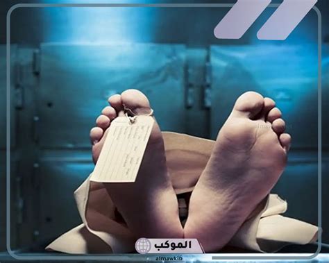 تفسير حلم رؤية جثة في المنام - Dreams Insider تفسير حلم رؤية جثة في المنام - Dreams Insider