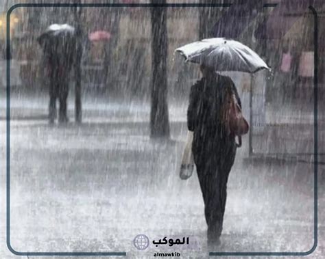 تفسير حلم سقوط المطر داخل المنزل لابن سيرين والنابلسي - المحيط