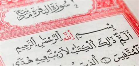 تفسير حلم قراءة سورة البقرة بصوت جميل - موقع ليالينا