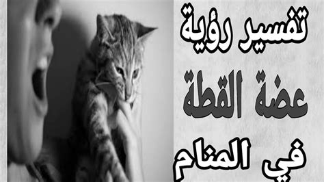 تفسير حلم من قتلني لابن سيرين - ايجي برس