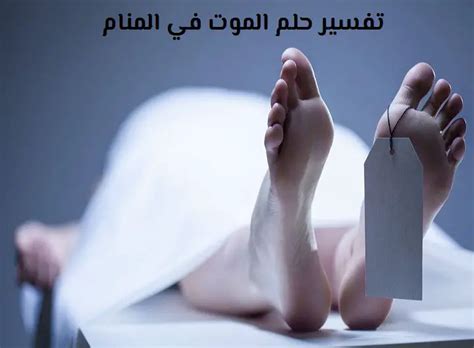 تفسير حلم موت ميت ينشر الملابس لابن سيرين - اتجاهات مصر تفسير حلم موت ميت ينشر الملابس لابن سيرين - اتجاهات مصر