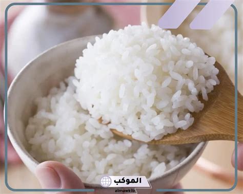 تفسير حلم ميت طبخ الأرز في المنام لابن سيرين - موقع الحلم تفسير حلم ميت طبخ الأرز في المنام لابن سيرين - موقع الحلم