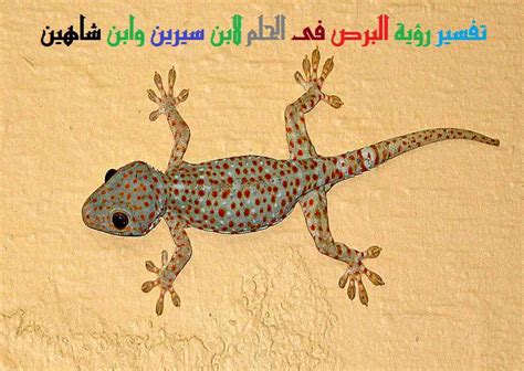 تفسير رؤية البرص في المنام لابن سيرين- مقال