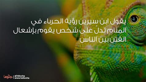 تفسير رؤية الحرباء في الحلم ومعناه - مقال تفسير رؤية الحرباء في الحلم ومعناه - مقال