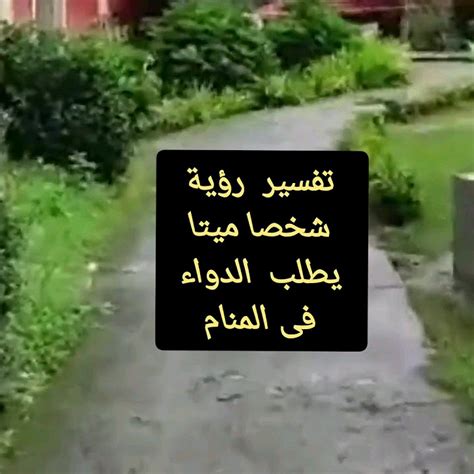 تفسير رؤية الحلم في أن شخصًا ميتًا يريد ورودًا بيضاء - فسِّر حلمك تفسير رؤية الحلم في أن شخصًا ميتًا يريد ورودًا بيضاء - فسِّر حلمك