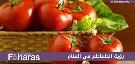 تفسير رؤية الطماطم تأكل الطماطم الحمراء في المنام - مجلة مجد