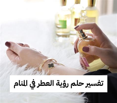 تفسير رؤية العصفور في المنام لابن سيرين والإمام الصادق - موقع زيادة تفسير رؤية العصفور في المنام لابن سيرين والإمام الصادق - موقع زيادة