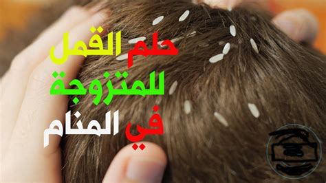 تفسير رؤية القمل في المنام في عقل ابن سيرين