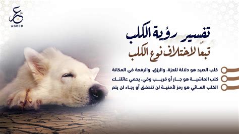تفسير رؤية الكلب يطاردني او يلاحقني في المنام - موقع فكرة